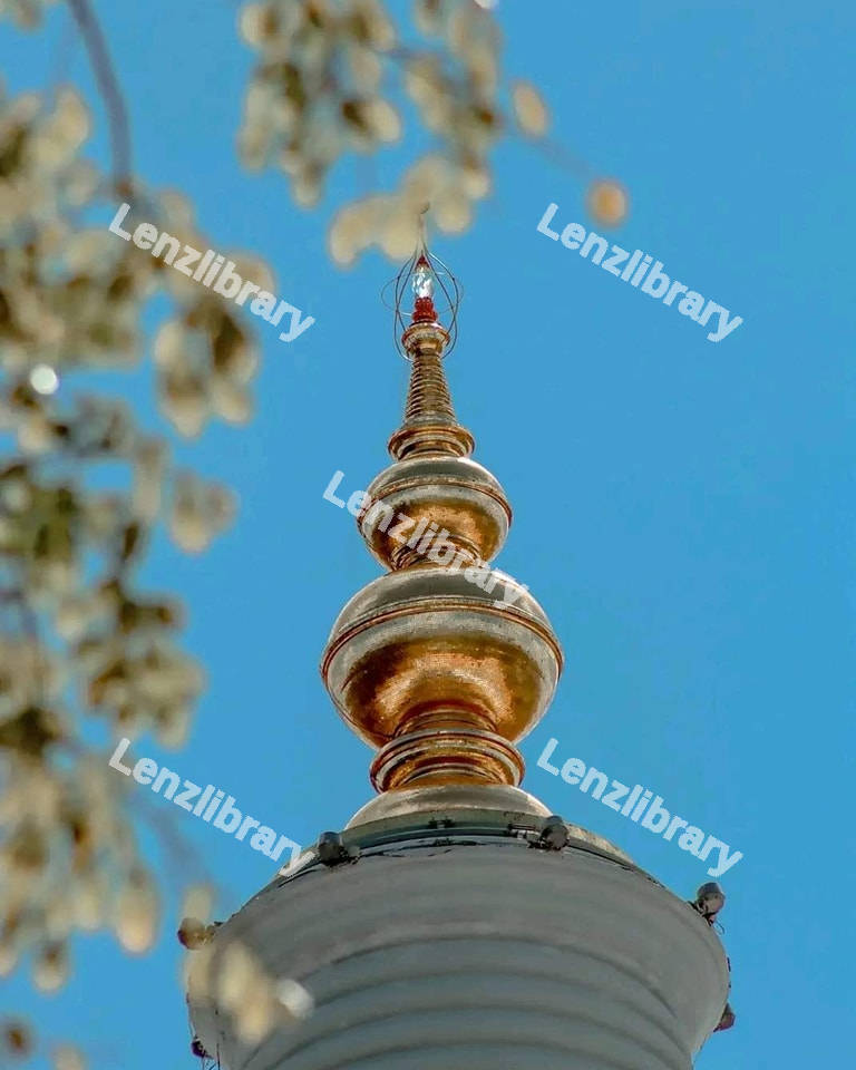 Top on the Pagoda of secred Ruwanweliseya